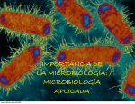 21 MICROBIOLOGIÌ A APLICADA