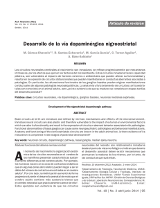 Desarrollo de la vía dopaminérgica nigroestriatal