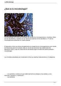 La Microbiología - Bienvenidos a Laboratorios Clínicos Echandi