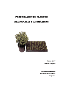 propagación de plantas medicinales y aromáticas