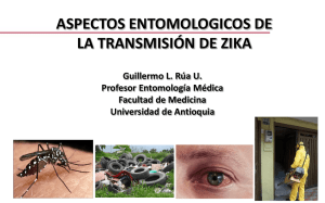 Presentación de PowerPoint