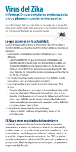 Virus del Zika