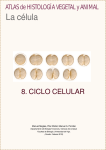 8. Ciclo celular - Atlas de Histología Vegetal y Animal