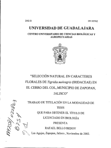 l.4pa - Universidad de Guadalajara