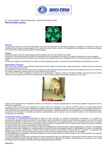 Parvovirosis canina - Laboratorios Santa Elena