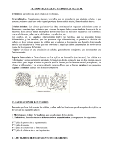 TEJIDOS VEGETALES O HISTOLOGIA VEGETAL