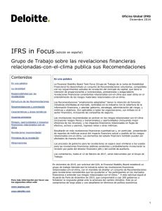 Grupo de Trabajo sobre las revelaciones financieras