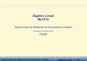 Álgebra Lineal Ma1010