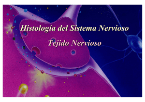 Histología del Sistema Nervioso Tejido Nervioso Histología del