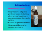 (Microsoft PowerPoint - Criopreservaci\363n Hemocentro092012)