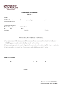 Declaraci&oacute;n Responsable (Anexo II)