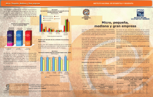 Micro, pequeña, mediana y gran empresa