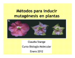 Mutagénesis en plantas11 - U