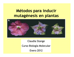 Mutagénesis en plantas11 - U
