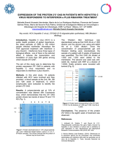 EXPRESSION OF THE PROTEIN 2`5` OAS IN PATIENTS WITH