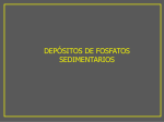 DEPÓSITOS DE FOSFATOS SEDIMENTARIOS