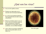 Qué son los virus PRISCILA