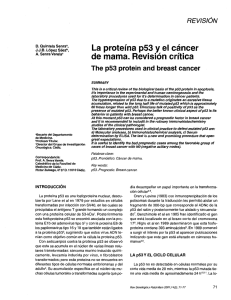 La proteína p53 y el cáncer de mama. Revisión crítica