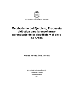 Metabolismo del Ejercicio - Universidad Nacional de Colombia