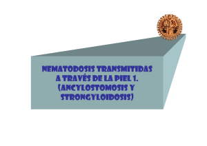 3. nematodosis transmitidas a traves de la piela traves de la piel
