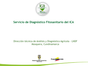 Diana Marcela Higuita – Presentación Musalac ICA