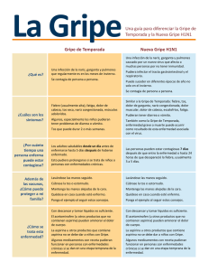 The Flu A Guide Spanish