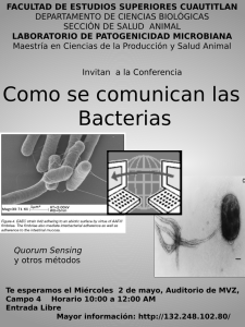Como se comunican las Bacterias