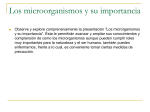 i. microrganismos