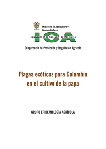 Plagas exóticas para Colombia en el cultivo de la papa