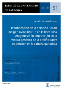 Identificación de la deleción FecXR del gen ovino BMP15