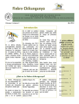 Boletín CIM HSJD número 4 2014