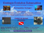 Ecología Evolutiva Subacuática