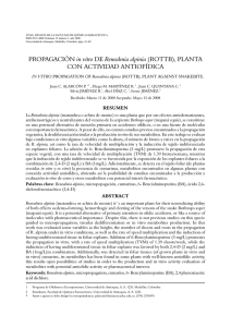 PROPAGACIÓN in vitro DE Renealmia alpinia (ROTTB), PLANTA