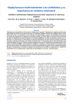 Staphylococcus multirresistentes a los antibióticos y su importancia