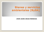 Bienes y servicios ambientales (BySA)