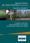 Manual básico de Selvicultura del Pino Pinaster