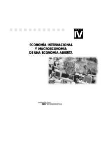 economía internacional y macroeconomía de una economía abiert