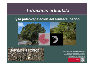 Tetraclinis articulata y la paleovegetacion del - LIFE-Tetraclinis-EU