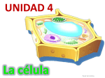 Unidad 4: La célula