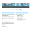 Java Enterprise Edition (J2EE)