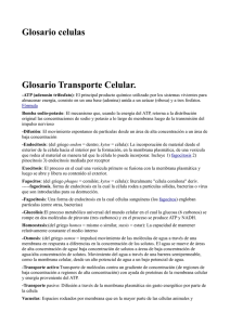 Glosario celulas Glosario Transporte Celular.
