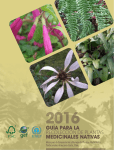 guía para la recolección de plantas medicinales nativas