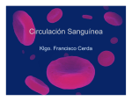 7. Circulación Sanguínea.pptx