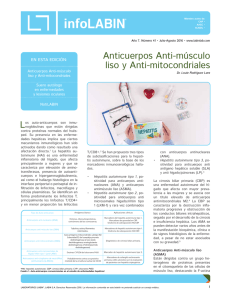 Anticuerpos Anti-músculo liso y Anti-mitocondriales