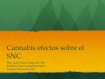 Cannabis efectos sobre el SNC