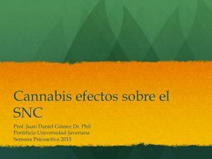 Cannabis efectos sobre el SNC