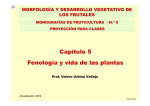 Capítulo 5 Fenología y vida de las plantas