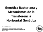 Genética Bacteriana y Mecanismos de la Transferencia Horizontal