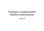 Fisiología y envejecimiento Sistema cardiovascular