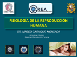 fisiología de la reproducción humana
